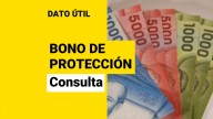 Así puedes conocer si te corresponde el Bono de protección