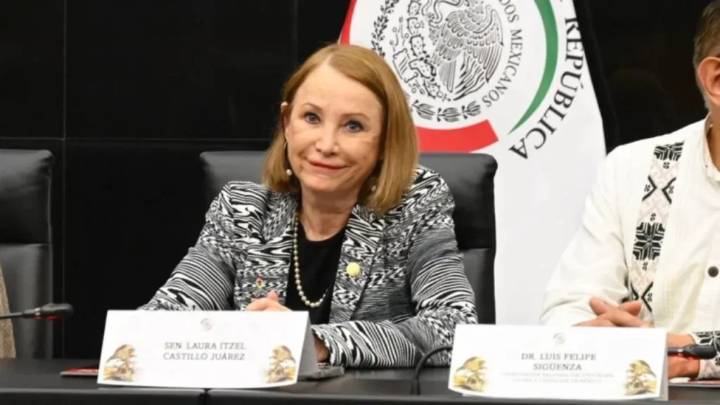 Ella es Laura Itzel Castillo, próxima presidenta del Senado