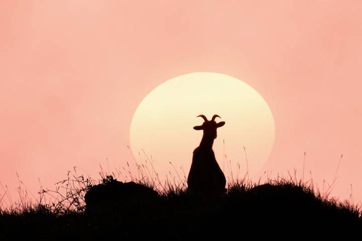 First Solar: The Undisputed GOAT Of U.S. Clean Energy (NASDAQ:FSLR)