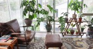 Couple, in their 50s, redesigns Richmond Heights home to age in place