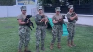 Semar prepara cachorros para detectar explosivos
