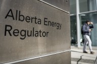 'Without precedent': Alberta Energy Regulator CEO cancels hearing for coal mine