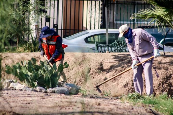 Fortalece J+ cercanía con la comunidad en Jardines del Lago