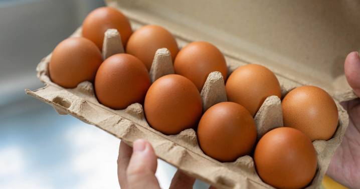 Eggs Recalled in Salmonella Outbreak That Sickened 92 People
