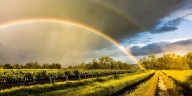 Clima en Colombia: temperatura y probabilidad de lluvia para Cartagena de Indias este 15 de agosto