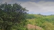 Estas son las identidades de los policías asesinados por las disidencias en Amalfi, Antioquia