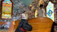 A massive mountain park in Vermont celebrates the bond between dogs and their humans