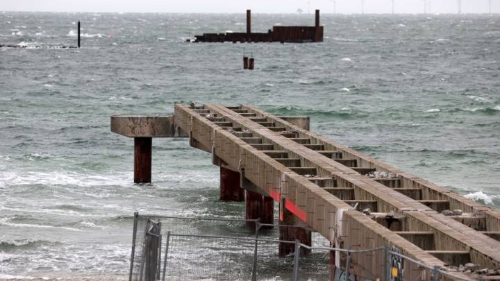 Se avecina cambio histórico: descubrimiento en las Islas Malvinas abriría un nuevo camino de estudio