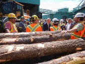 Carney's lumber aid inflames subsidy allegations