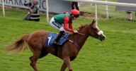 'I've had five winning naps in the past week' – Jason Heavey's Friday tips