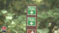 'It really hurts my heart': Concerns after crimes in Tulsa parks