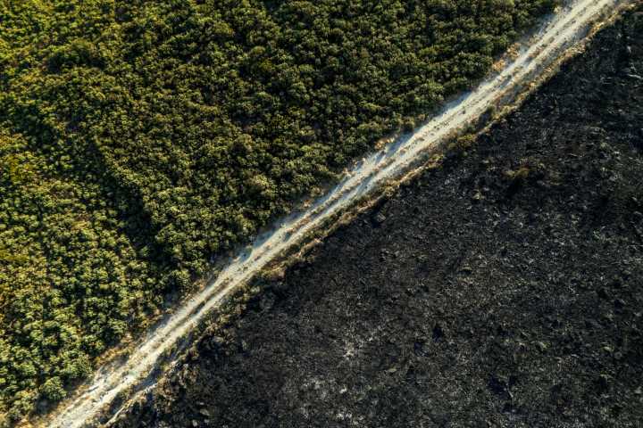 Descienden los incendios en España con la caída de lluvias en las zonas afectadas