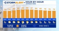 Hot and humid with spotty storms this afternoon