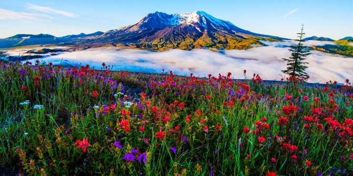 Remember Mount St. Helens? Why It Fell Off The Map, And Why It's Time To Go Back