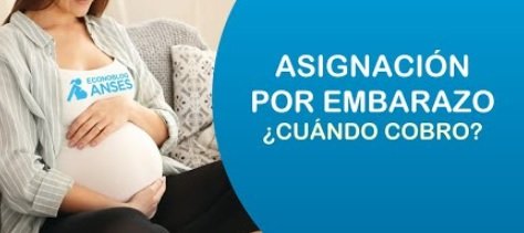ANSES: quienes cobran hoy 13 de agosto