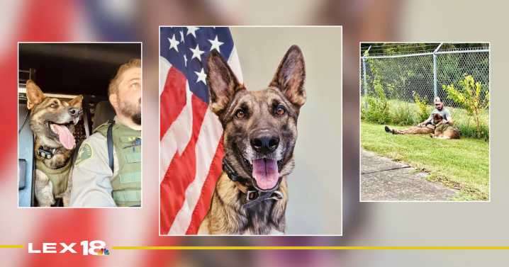Good work Batman! K9 medically retires from Jessamine Co. Sheriff's Office