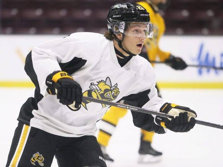Sarnia Sting hold training camp