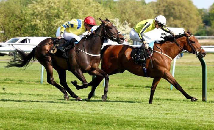 Disturbing Scene at Horse Race Flinches Community After Controversial Standings Revised