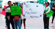 Protestan por maltrato vs. ponys en la Fenapo