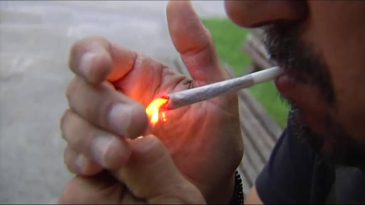 Menos marihuana que nunca: el consumo de cannabis entre jóvenes cae un 44% en Cataluña