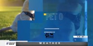 Pet of the Week: Meet Ford