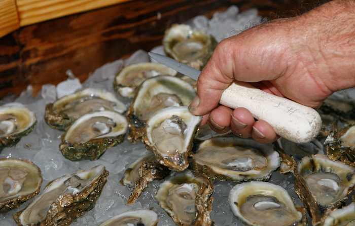 Florida wildlife officials consider reopening bay nationally known for its oysters