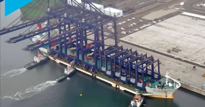 Hutchison Ports LCT rompe récord histórico en 2024 y celebra 18 años de operaciones en Lázaro Cárdenas