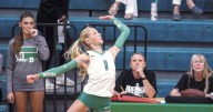 Bush jumps into Cubette rotation as emerging outside hitter