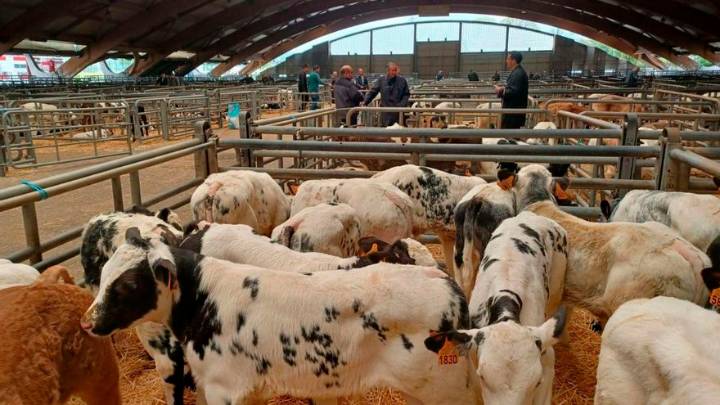 La actividad del Mercado de Siero baja este año el 9% por el declive del campo