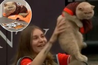 Bowling Green's Pudge the Cat becomes college football's early breakout star