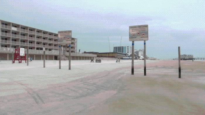 Hurricane Erin impacts Volusia turtle nests as patrol works to save survivors