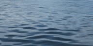 Crews respond to car submerged in lake, driver transported to hospital for evaluation