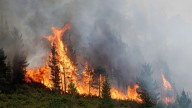 La lluvia estabiliza el incendio de Ibias: 400 hectáreas quemadas de pinar y monte bajo
