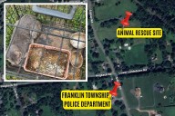 Prosecutor leads Franklin Township cops in rescue of 45 animals