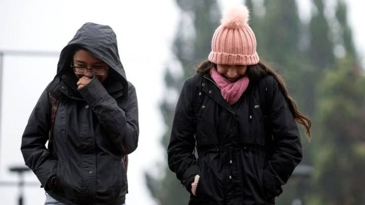 Alerta meteorológica por vientos fuertes en cuatro provincias: qué recomendaciones deben tener en cuenta