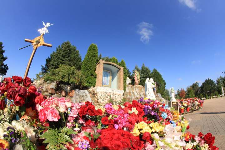 La experiencia peregrina de la Virgen de Guadalupe llega a Chicago el 27 de agosto