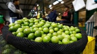 Chiclayo: precio del limón se triplica y ventas disminuyen en un 50%