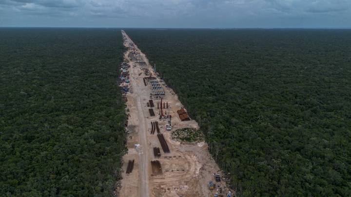 Retrasos, criminalización y desacatos: los amparos contra la construcción del Tren Maya no ven la luz al final del túnel