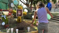 Plantan árbol en memoria de Fernandito