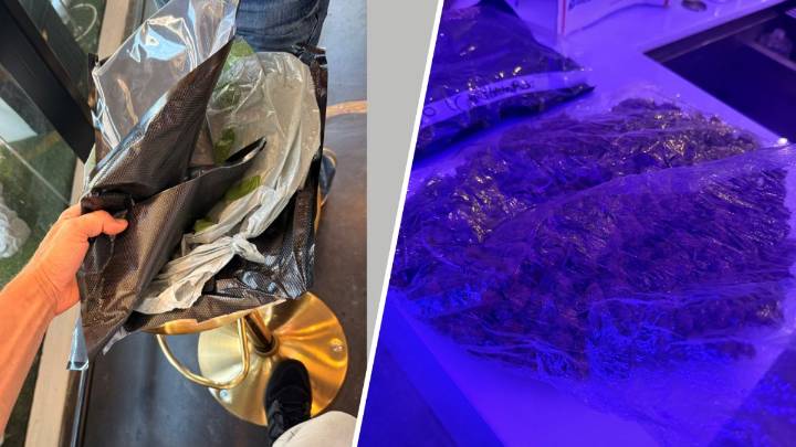 Man intercepts parcel of marijuana shipped to his West Hollywood business