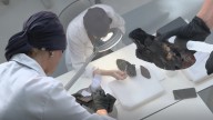 Un zapato de 700 años hará su debut en una exposición el próximo otoño