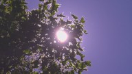 Heat advisory issued for Western Washington this week