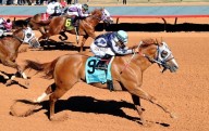 Listo el orden de salida para el All American Futurity