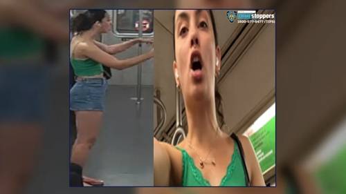 Woman pepper sprays man during argument on Queens subway, police say