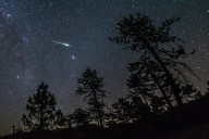 Perseids are peaking: Top tips for seeing this summer’s best meteor shower