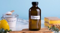 Can You Use A Homemade Cleaning Solution In The Bissell Little Green Cleaner?
