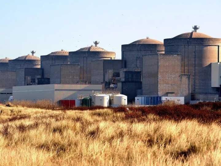 Medusas cierran una central nuclear francesa