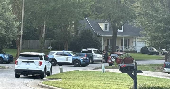 Raleigh officer hit by car during car break