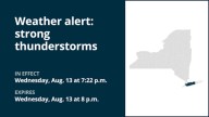 NY weather: Anticipate pea-sized hail with thunderstorms in part of New York Wednesday – gusts up to 40 mph