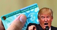 Confirmado: Estados Unidos elimina automáticamente la Green Card a quienes no cumplen este requisito
